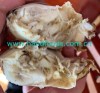 Frozen Swimming Crab