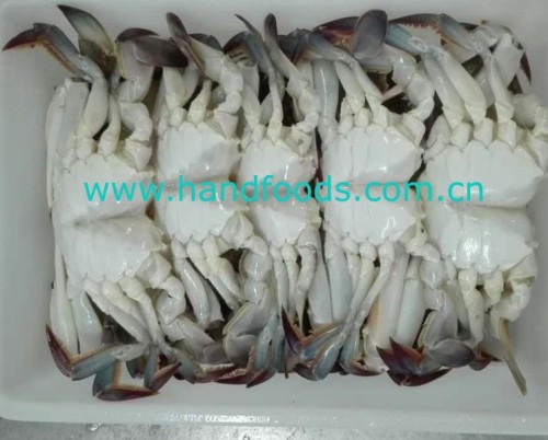 Frozen Cooked