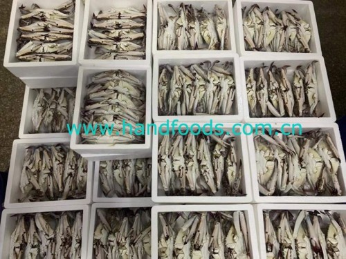 Frozen Swimming Crab