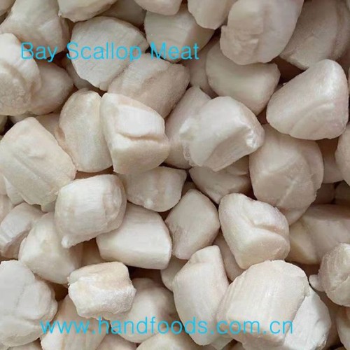 Frozen Bay Scallop Meat