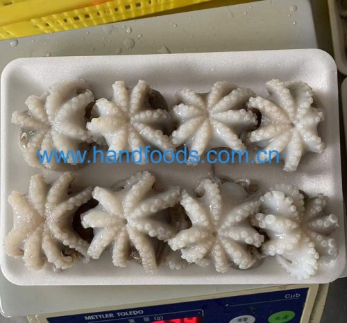 Frozen Cleaned Baby Octopus