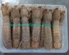 Frozen Cooked Mantis Shrimp