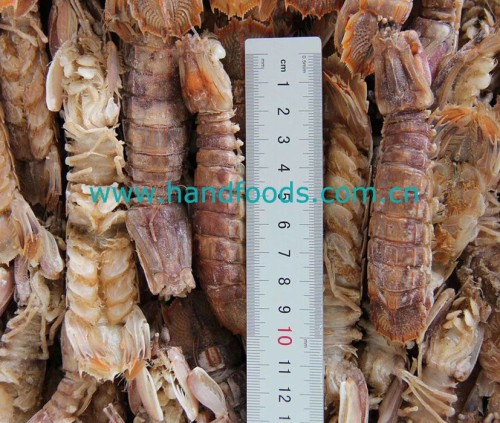 Frozen Cooked Mantis Shrimp