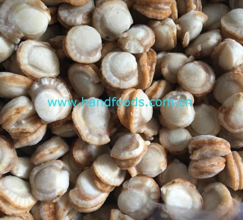 Frozen Cooked Sea Scallop Meat