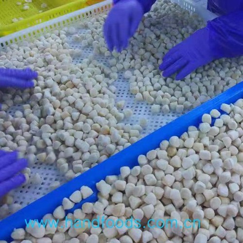 Frozen Bay Scallop Meat