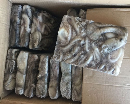 Frozen Octopus