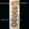 Frozen Cooked Abalone