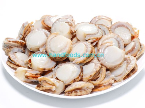 Frozen Cooked Sea Scallop Meat