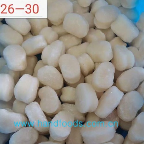Frozen Pan Shell Scallop Meat
