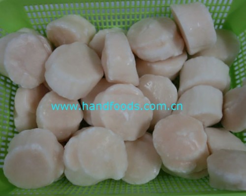 Frozen Raw Sea Scallop Meat