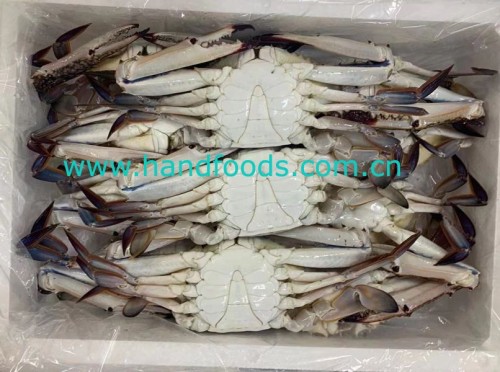Frozen Swimming Crab