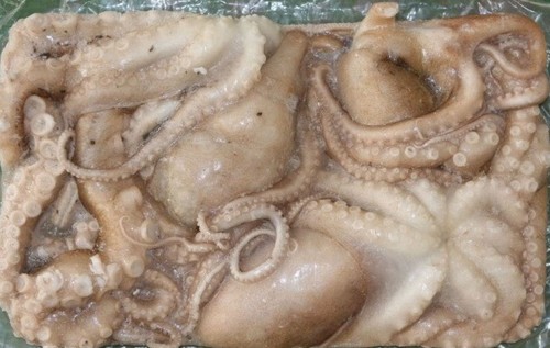 Frozen Octopus