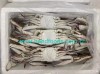 Frozen Swimming Crab