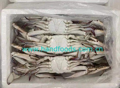 Frozen Swimming Crab