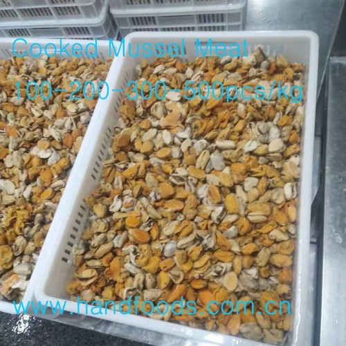 Frozen Cooked Blue Mussel Meat