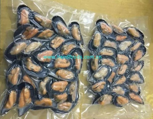 Frozen Cooked Half-Shell Blue Mussel
