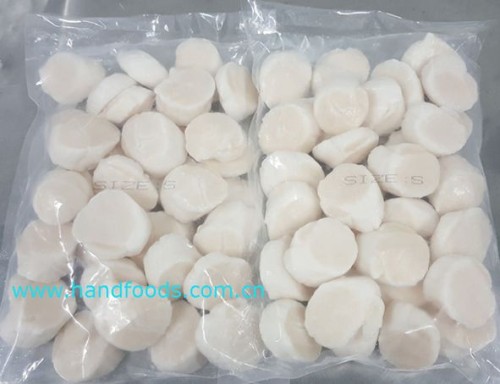 Frozen Raw Sea Scallop Meat