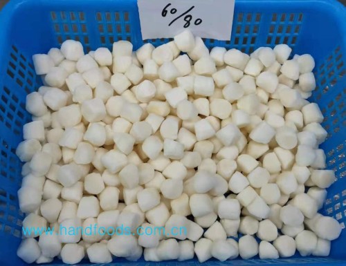 Frozen Bay Scallop Meat