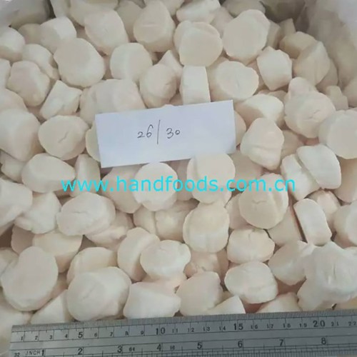 Frozen Raw Sea Scallop Meat
