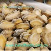 Frozen Cooked Abalone Meat
