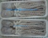 Frozen Small Octopus