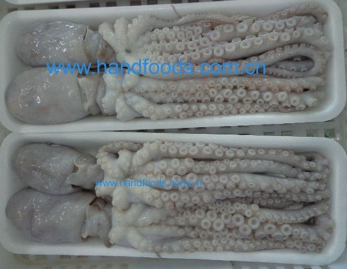 Frozen Small Octopus