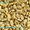 Frozen Cooked Clam Meat