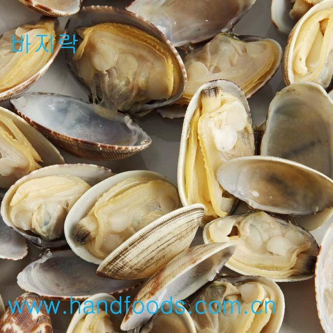 Frozen Cooked Clam