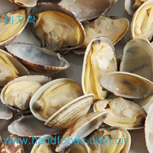 Frozen Cooked Clam