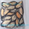 Frozen Cooked Half-Shell Gaint Blue Mussel