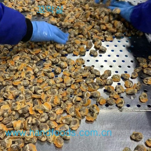 Frozen Cooked Arkshell Meat