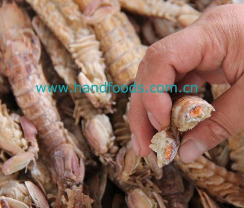 Frozen Cooked Mantis Shrimp