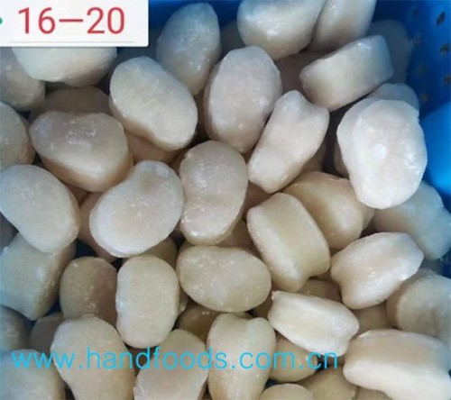Frozen Pan Shell Scallop Meat