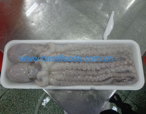 Frozen Small Octopus