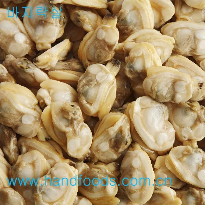 Frozen Cooked Clam Meat
