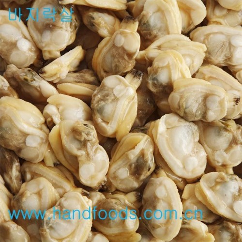 Frozen Cooked Clam Meat