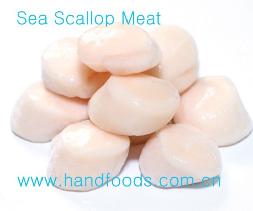 Frozen Raw Sea Scallop Meat