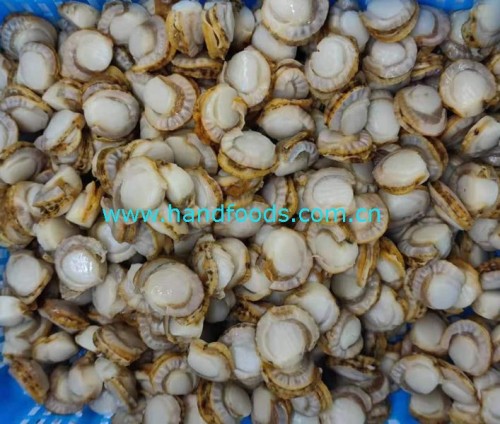 Frozen Cooked Sea Scallop Meat