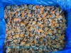 Frozen Cooked Arkshell Meat