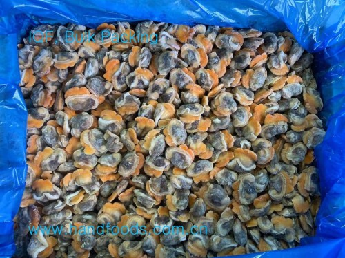 Frozen Cooked Arkshell Meat