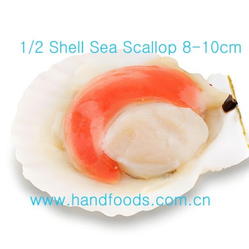 Frozen 1/2 Shell Sea Scallop