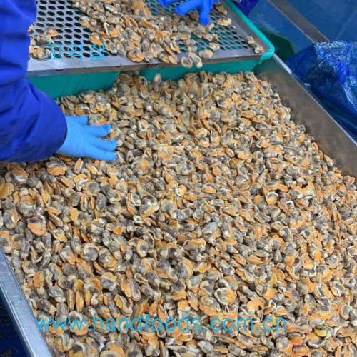 Frozen Cooked Arkshell Meat