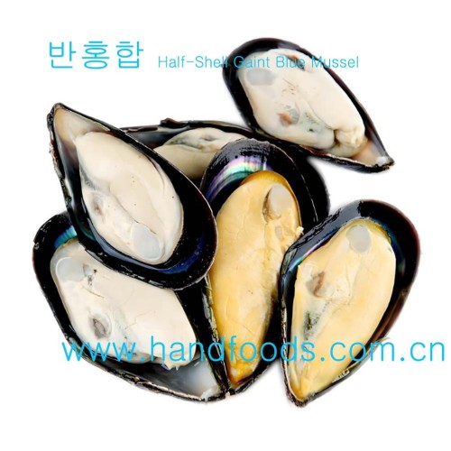 Frozen Cooked Half-Shell Gaint Blue Mussel
