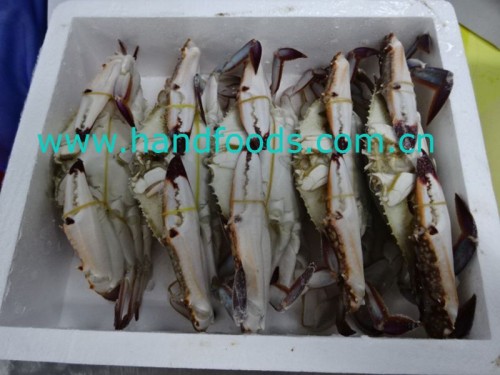 Frozen Swimming Crab