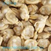 Frozen Cooked Clam Meat