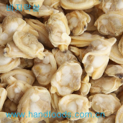 Frozen Cooked Clam Meat