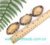 Frozen Cooked Abalone Meat
