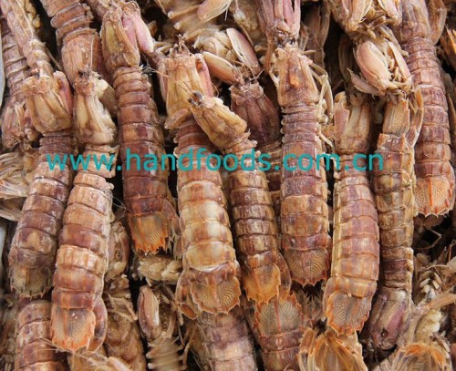 Frozen Cooked Mantis Shrimp