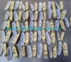 Razor Clam Meat
