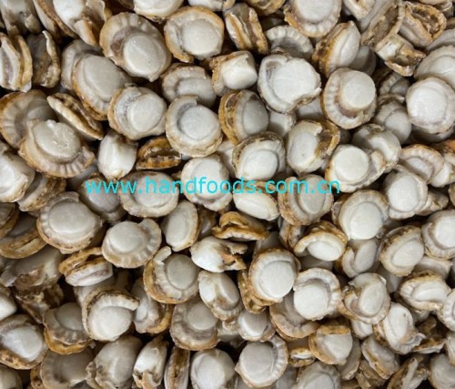 Frozen Cooked Sea Scallop Meat